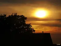 DSC02142.webp