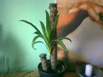 02092010710.webp
