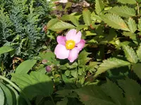 P8315566.webp