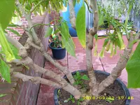 DSCI0168.webp