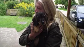Brixi holen und erster tag im neuen zu hause 009.webp