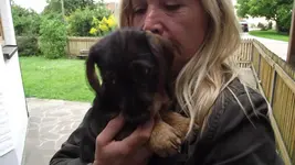 Brixi holen und erster tag im neuen zu hause 012.webp