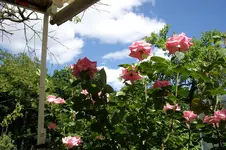 2010  Berlin 06 247.webp