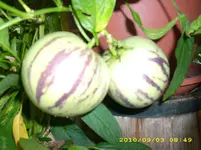 DSCI0179.webp