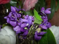September 2010 v038.webp