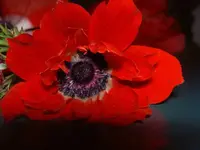 September 2010 v 037.webp