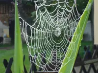 2010 09 03 025.webp