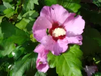 2010 09 03 034.webp
