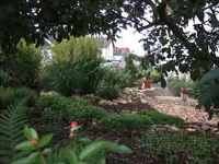 VG Blick durch Apfelbaum.webp