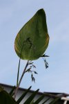 IMG_6562.JPG