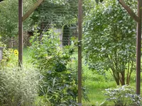 Garten Sept. 2010 002.webp