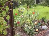 Garten Sept. 2010 005.webp