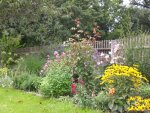 Garten Sept. 2010 007.jpg