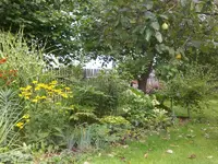 Garten Sept. 2010 010.webp