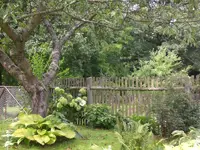 Garten Sept. 2010 013.webp