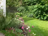 Garten Sept. 2010 018.webp