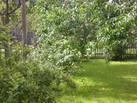 Garten Sept. 2010 020.webp