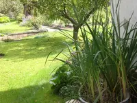 Garten Sept. 2010 024.webp