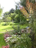 Garten Sept. 2010 025.webp