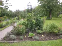 Garten Sept. 2010 026.webp