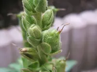 DSCF4002.webp