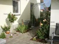 P9033438.webp