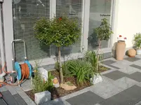 P9033440.webp