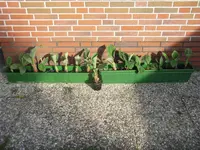 Alles mögliche 118.webp