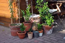 Unbenannt-12.webp