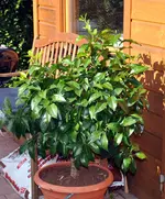 Unbenannt-13.webp
