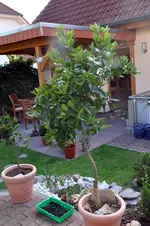 Unbenannt-14.webp