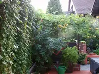 Terrasse.webp