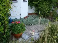 Am Teich.webp