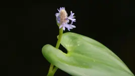 DSC04040.webp