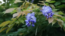 DSC04056.webp