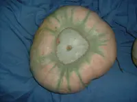 Kürbis 2010 (1).webp