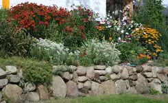 rechtes Hangbeet.webp