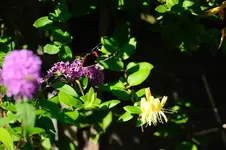 DSC_6936.webp