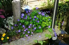 DSC_6942.webp