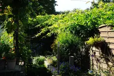 DSC_6947.webp