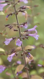 DSC04066.webp