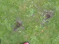 S1031256.webp