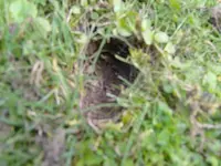 S1031267.webp
