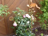 S1031169.webp S1031169.webp