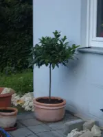 S1031217.webp S1031217.webp