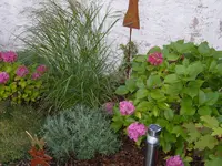 S1031276.webp