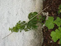 S1031277.webp
