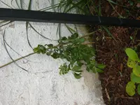 S1031278.webp