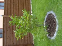 S1031279.webp