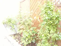 S1031281.webp